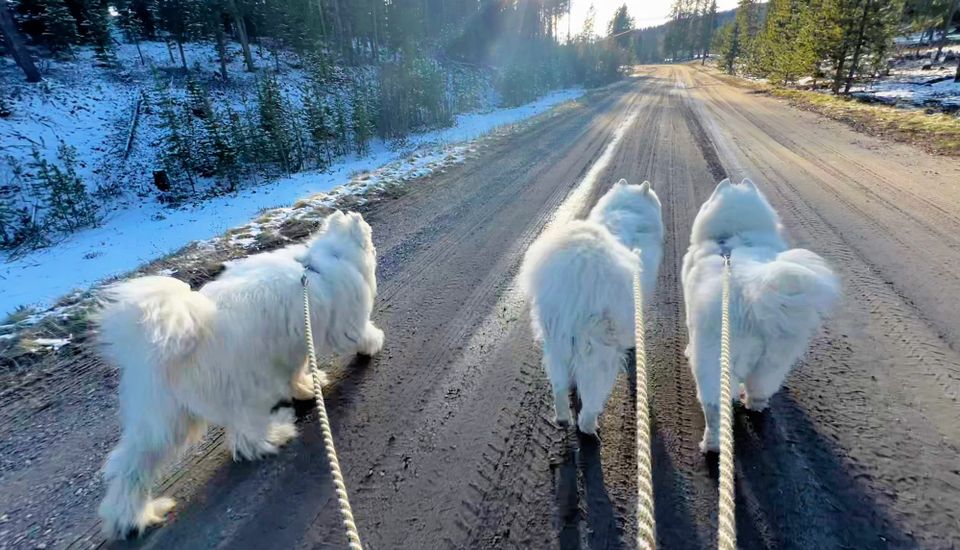 Evening walk at Homestake Lake
