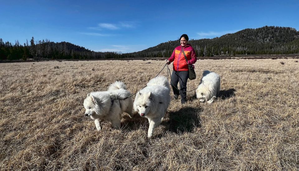 Continental Divide Trail at Burton Park