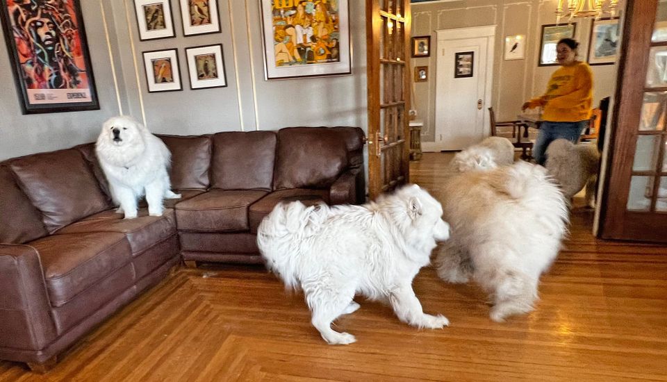 A visit from Strummer & Zevon