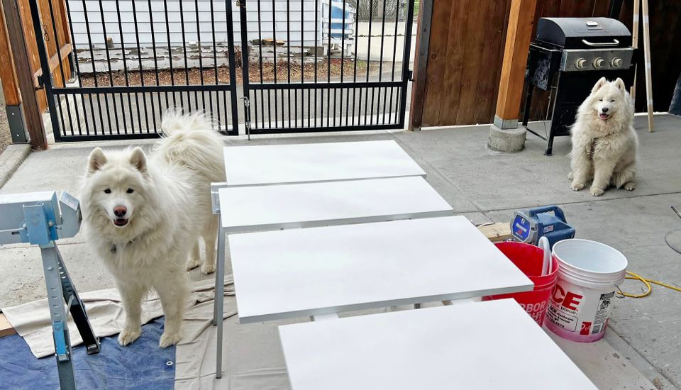 Painting cabinet doors