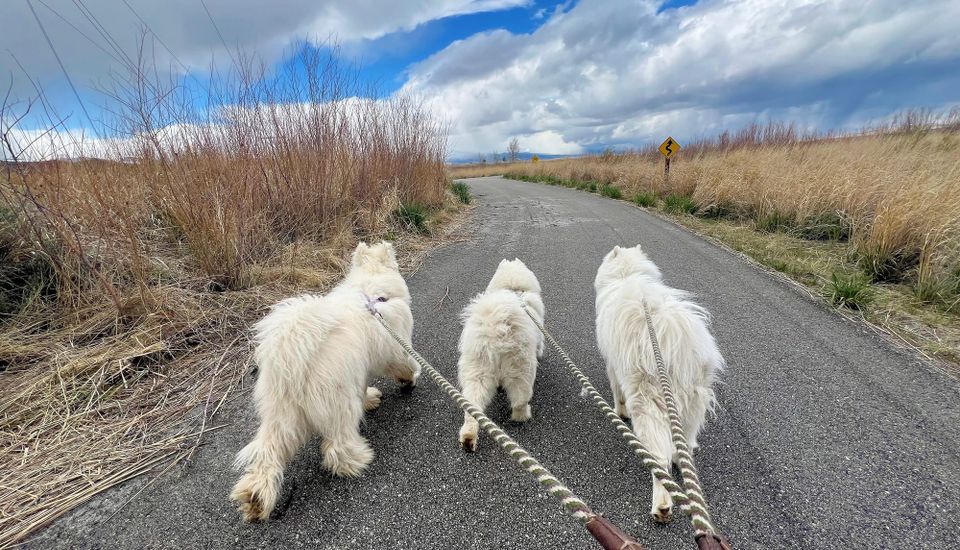 Copperway Regional Trail