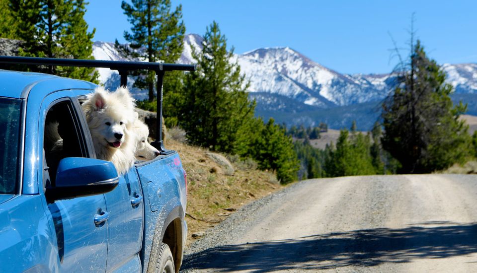 Exploring the Highlands