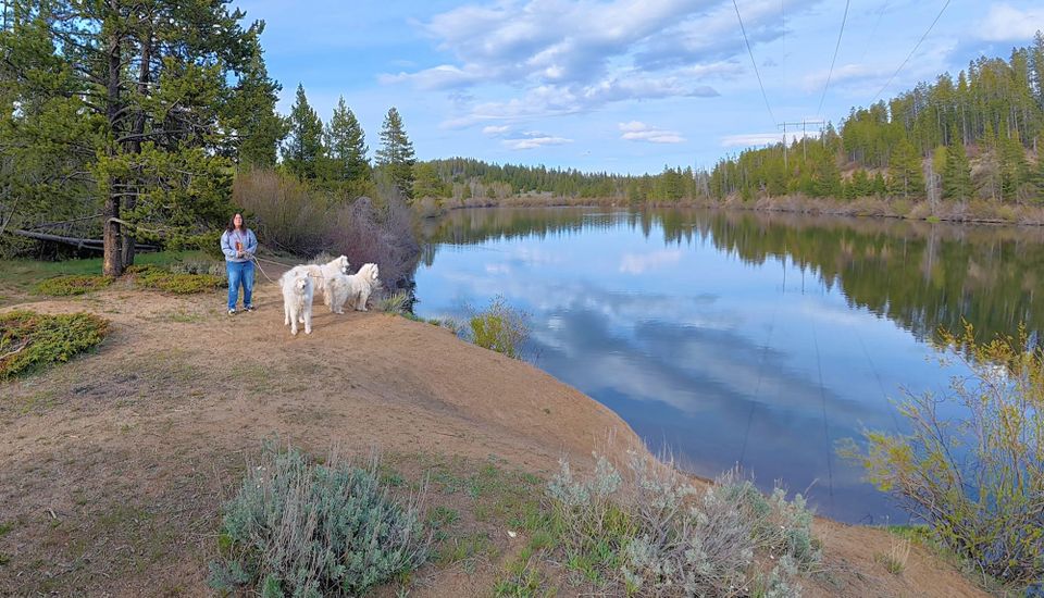 Pack walk at Homestake Lake