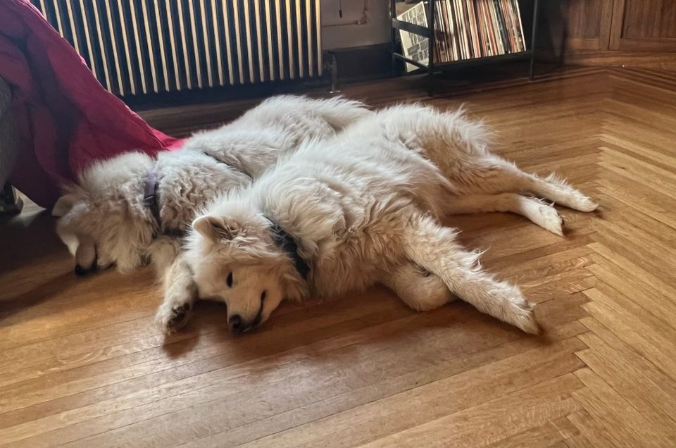 Good morning!