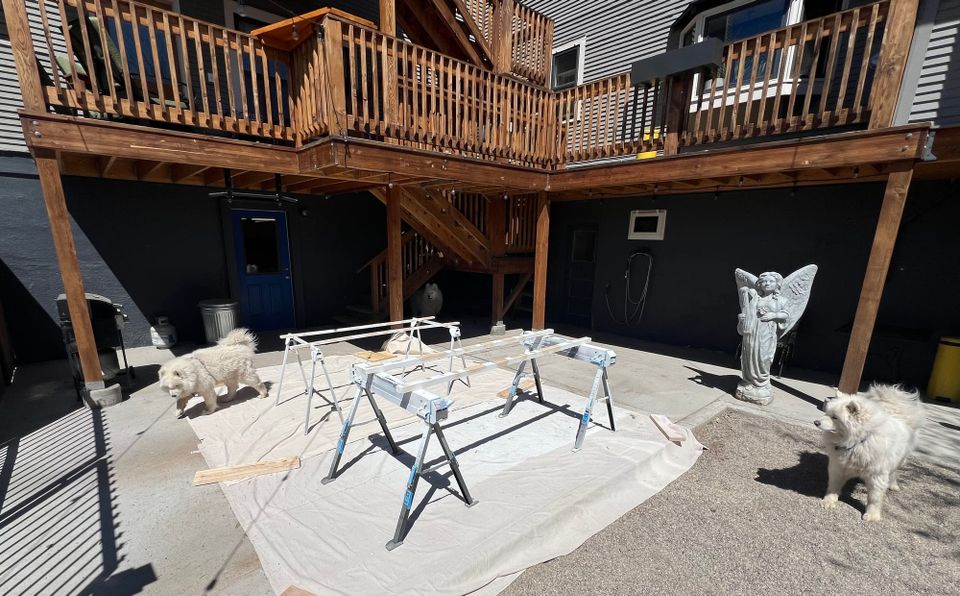 Paint day
