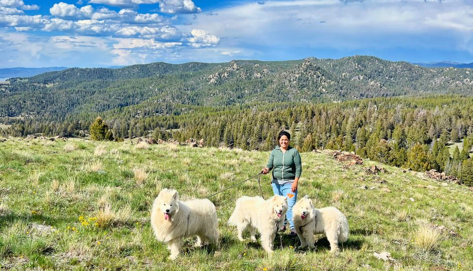 Pack walk in the Highlands