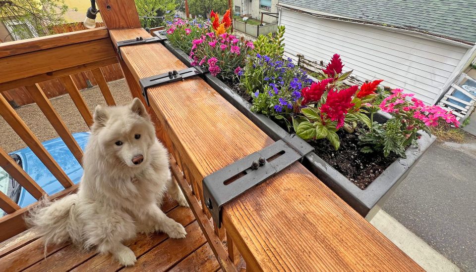 Decorating the deck