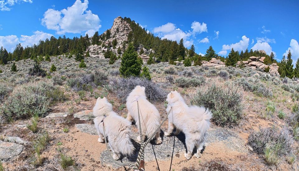 Exploring the Spire Rock area