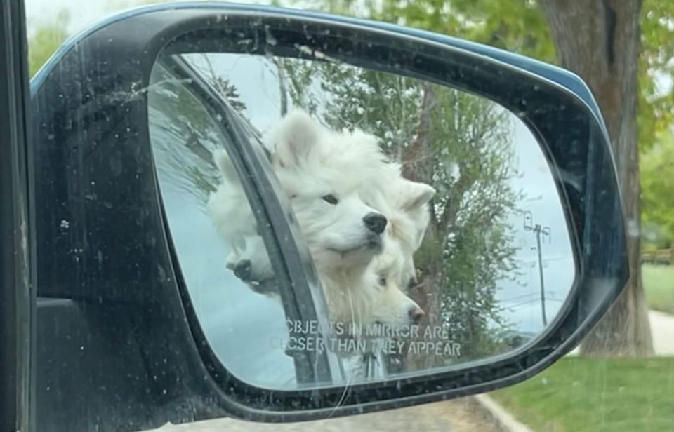 Sunday errands