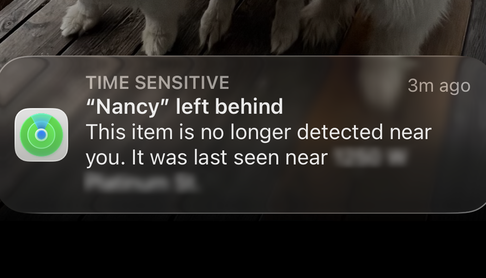 Nancy notifications