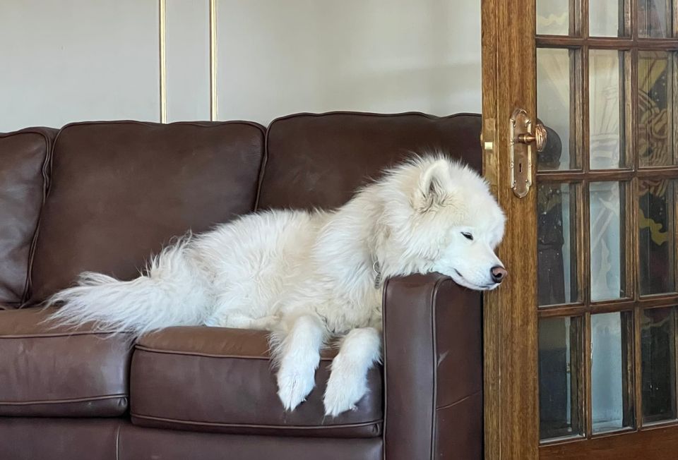 Lazy Sunday
