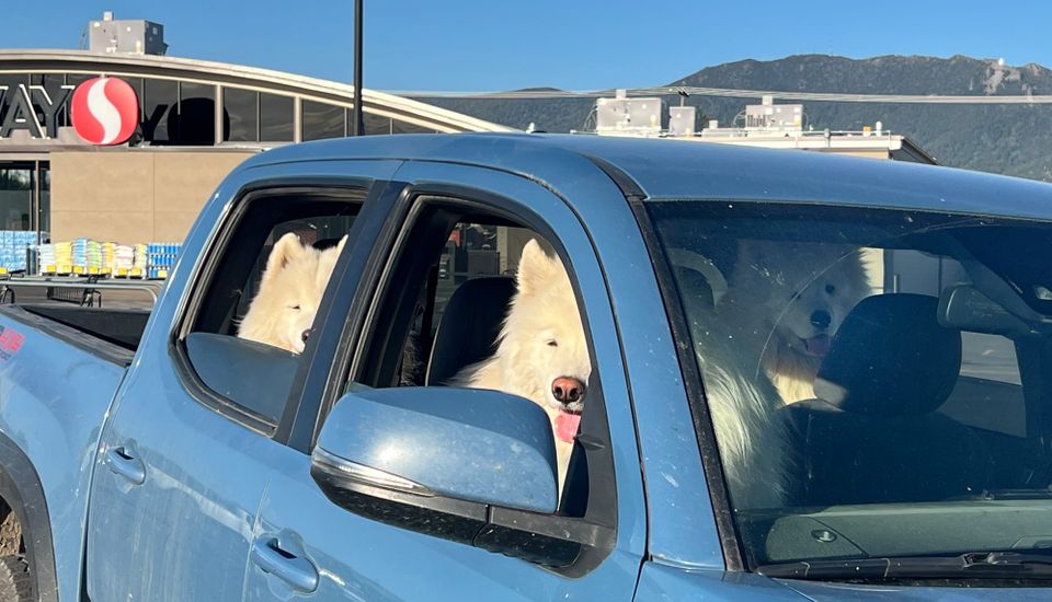 Friday evening errands
