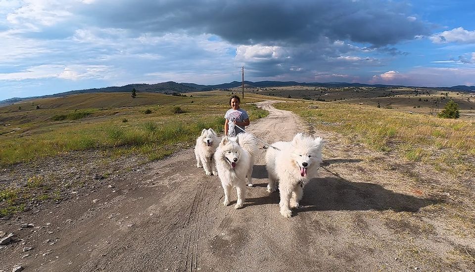 A walk with Alex