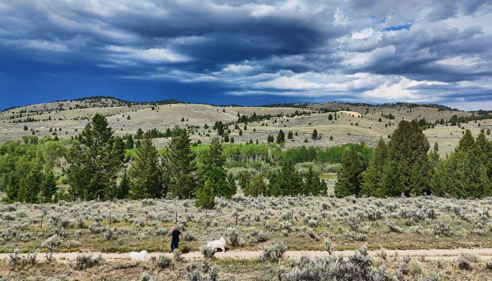 A walk before the storm