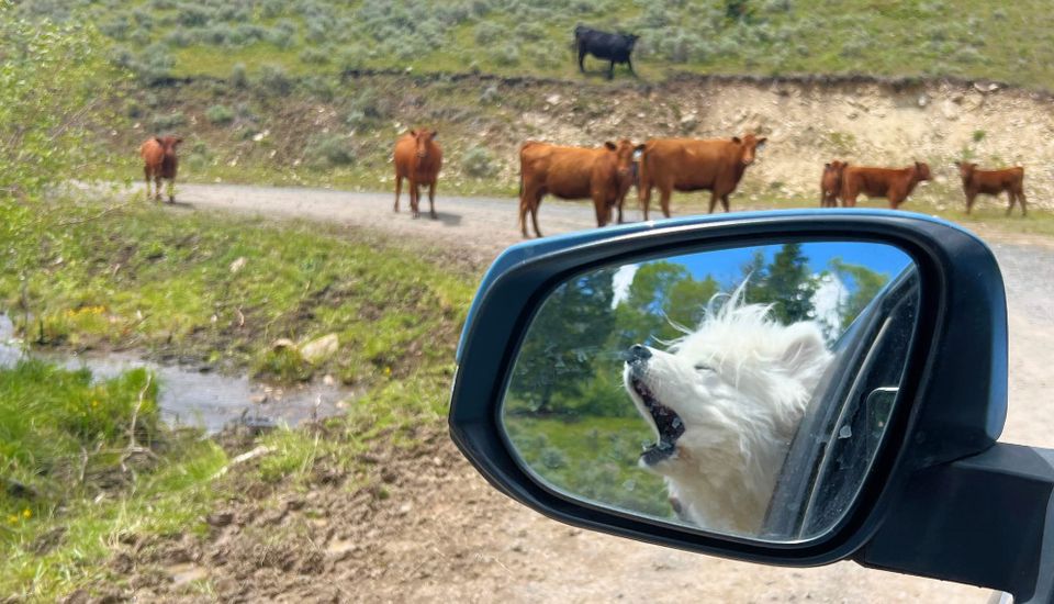 Walks in the Highlands