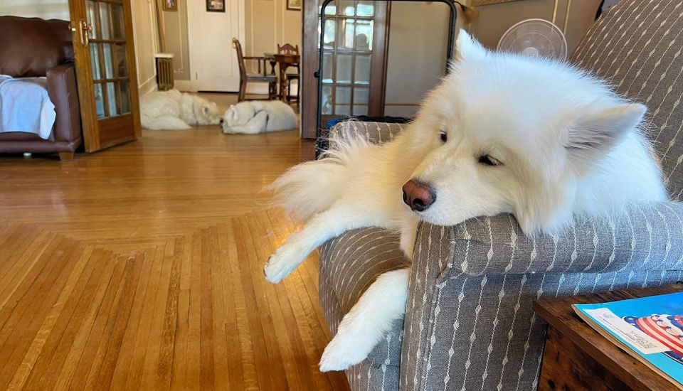 Breakfast negotiations