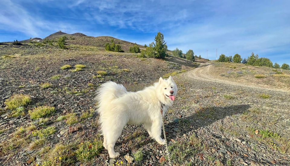 George's early morning hike