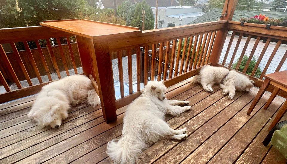 Lazy Sunday