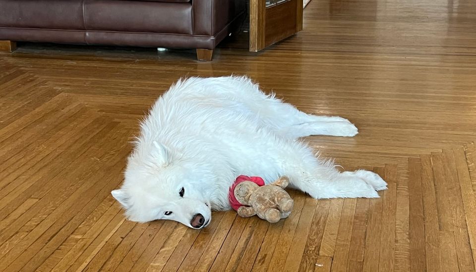 George and Paddington
