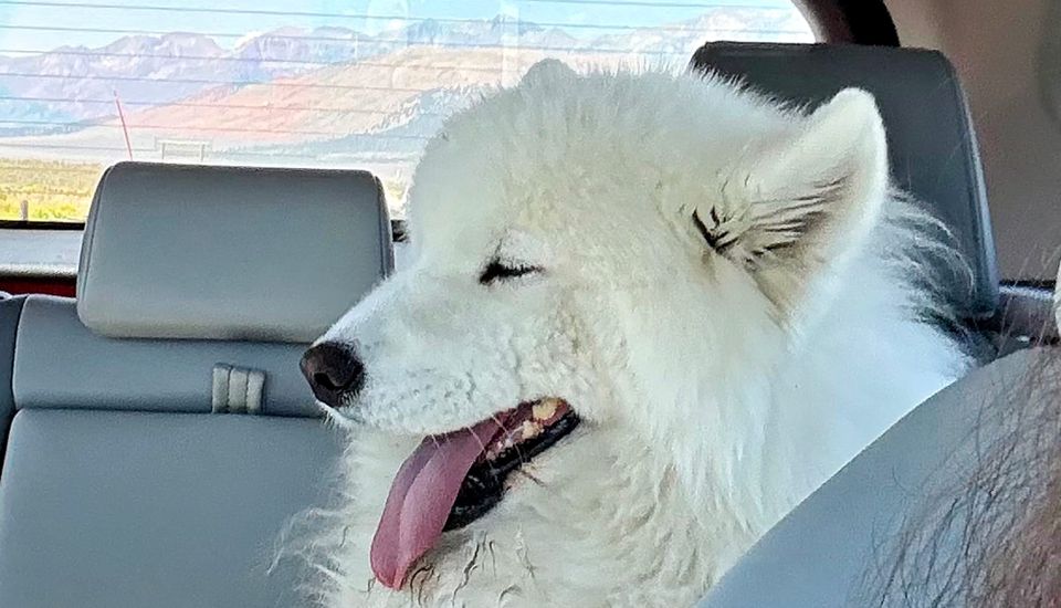 Nancy on the road