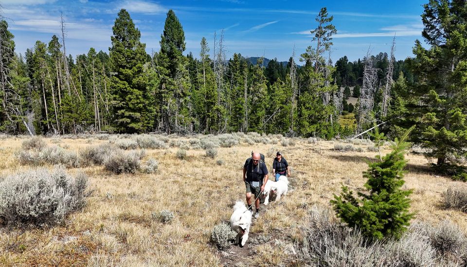 A hike on the Continental Divide Trail
