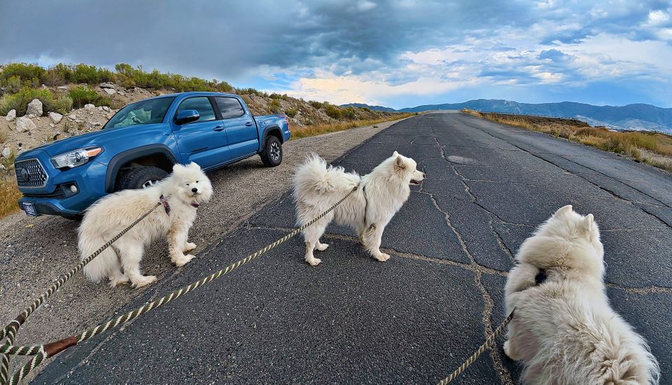 A canceled walk