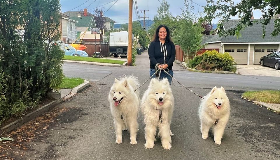 Pack walk after dinner