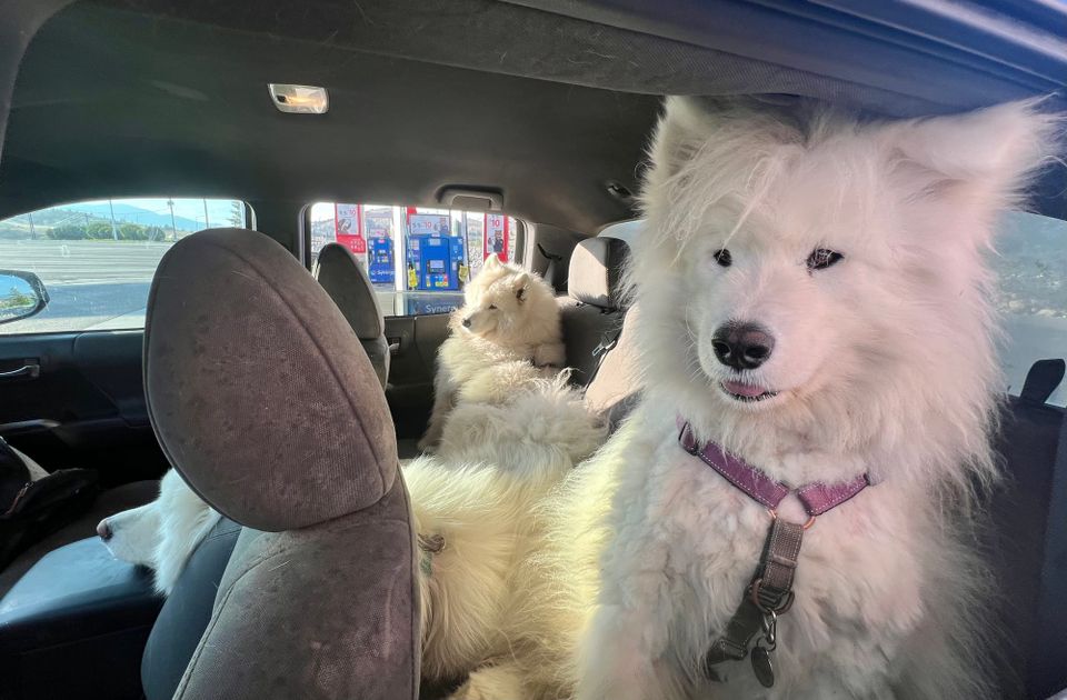 Off to the mountains