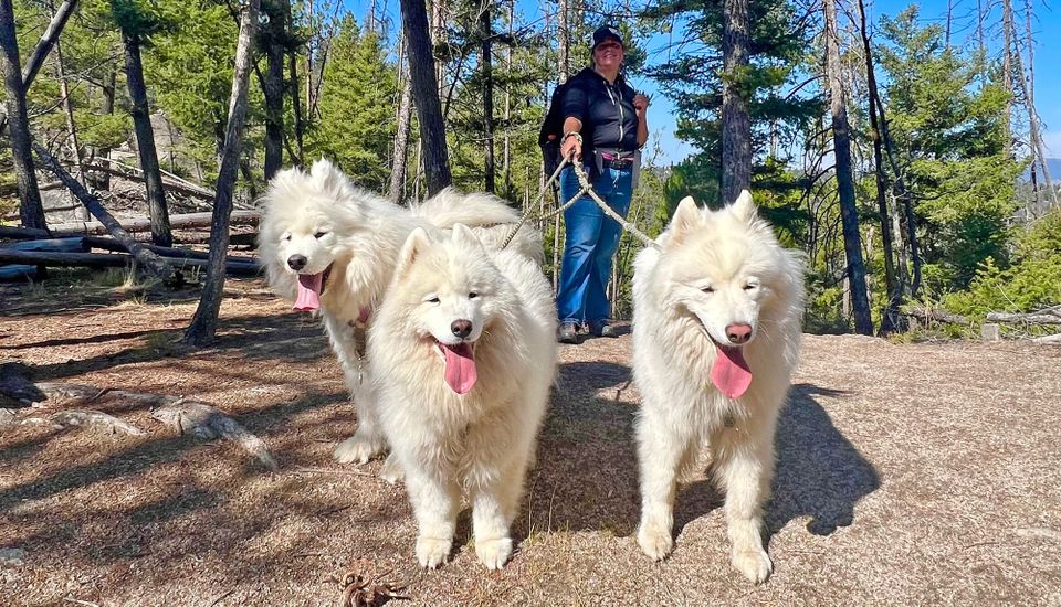 home from a hike
