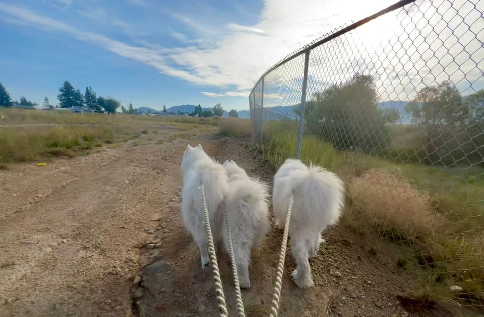 After-breakfast walk