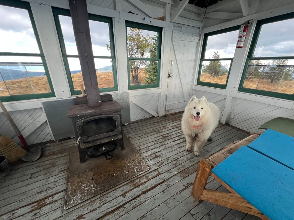 Nancy at the cabin