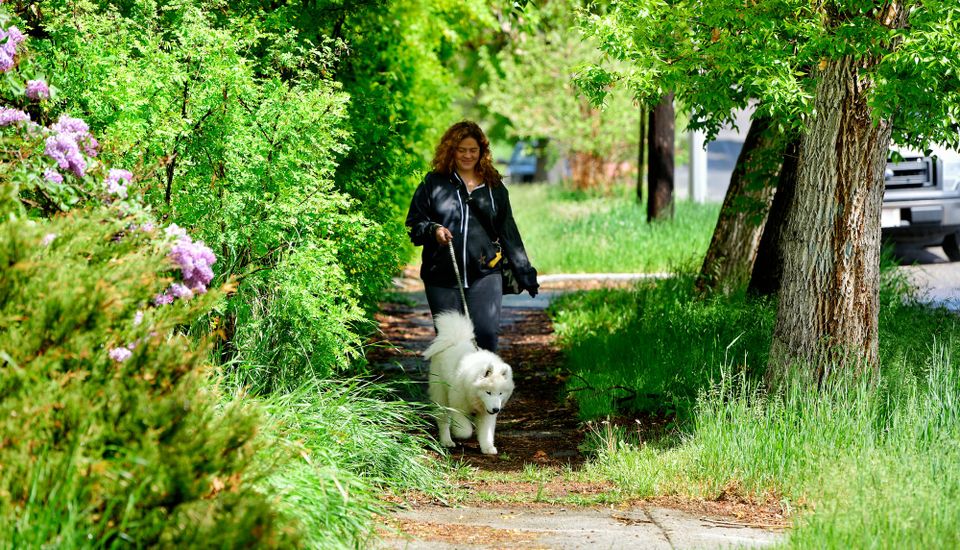 Throwback Thursday: first walks in Butte