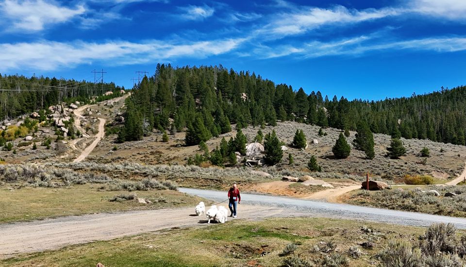 Boulder Mountains outing