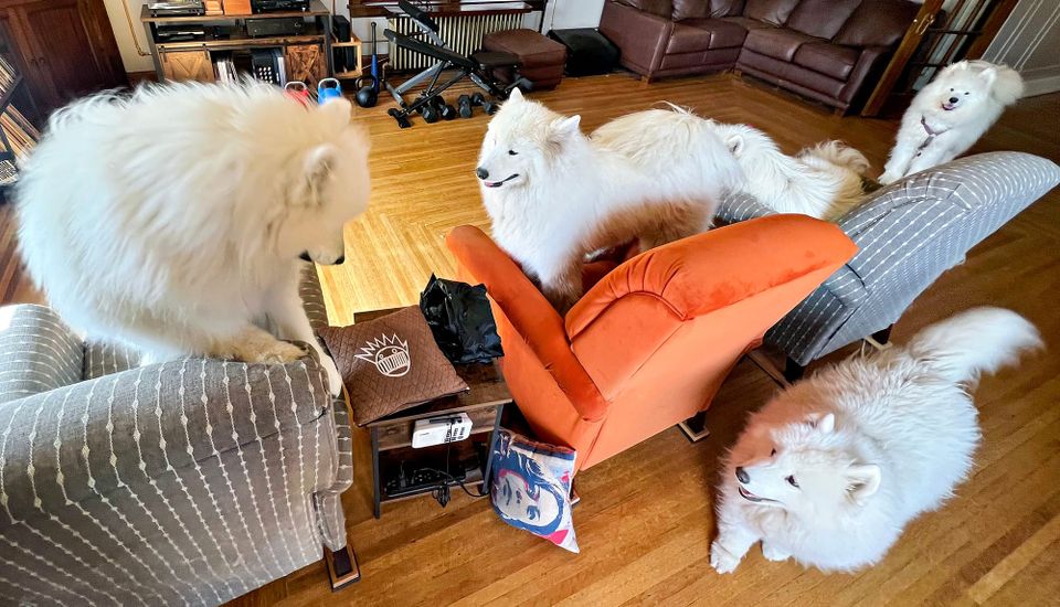 A visit from Strummer and Zevon