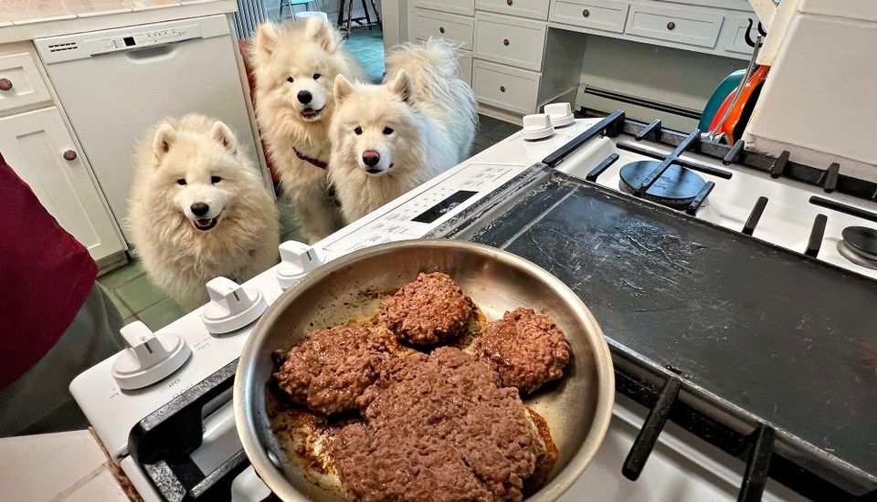 Lunch time