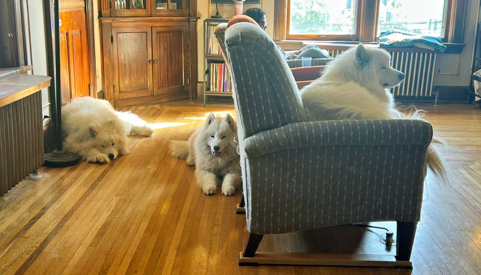 Lazy Sunday