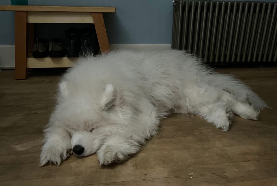Good night!