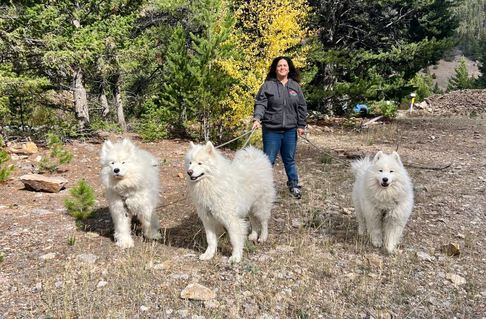A walk on the way to Helena