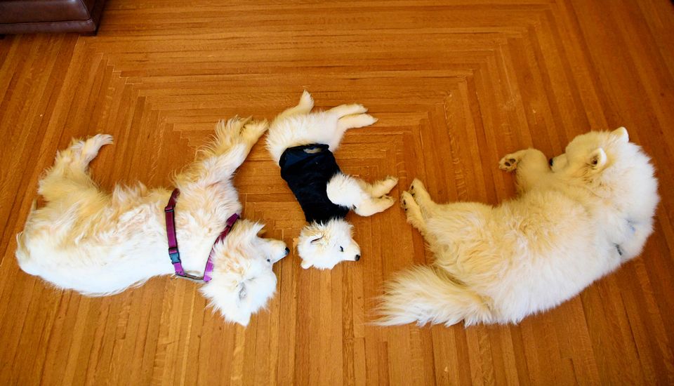 Throwback Thursday: a dozen group photos