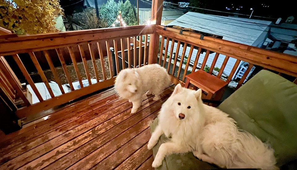 Waiting for snow