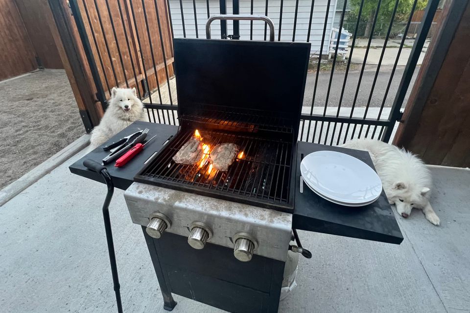 Dinner time