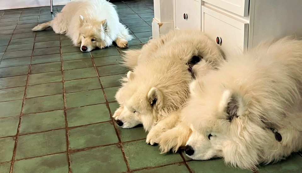 Lazy Friday