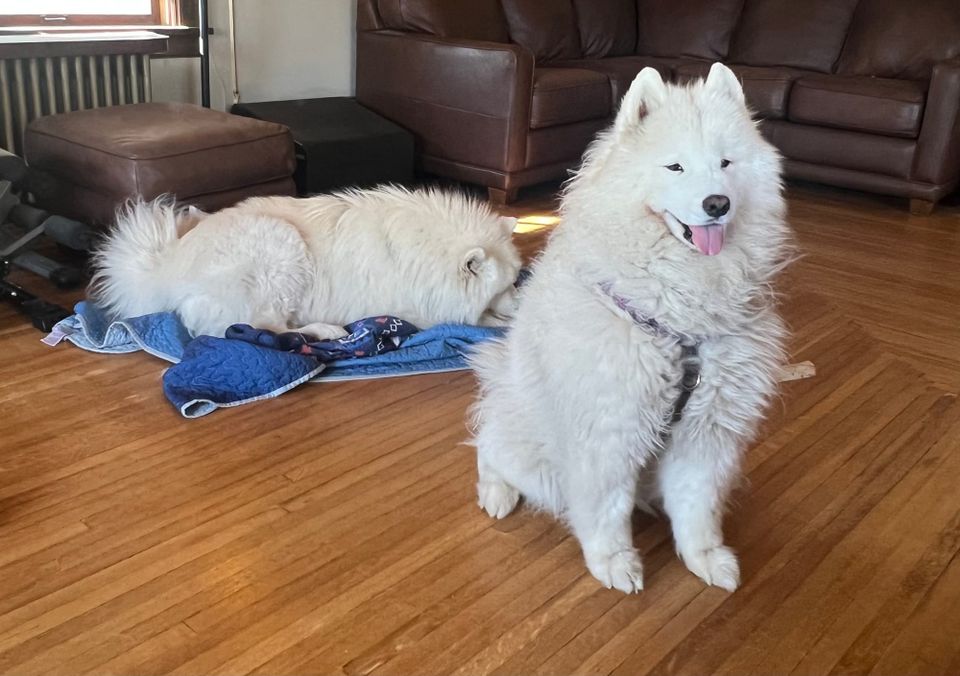 Waiting for dinner