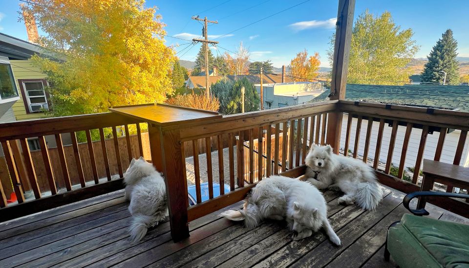 Dinner on the deck