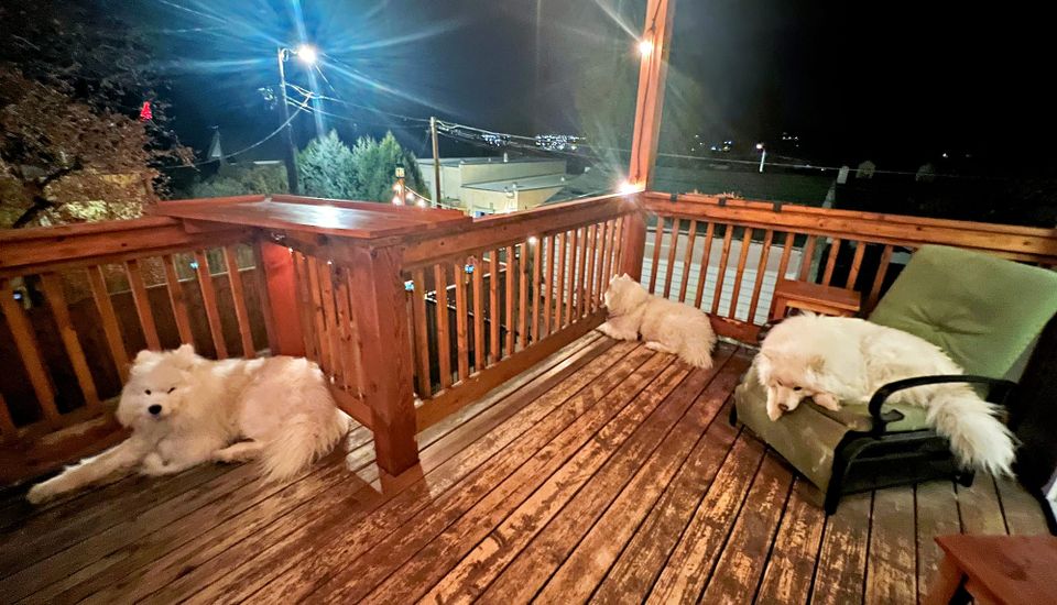Hanging out on the deck