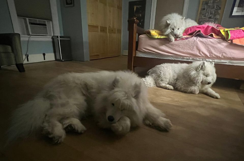 Good night!