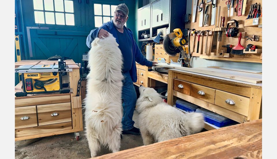 A visit from a friend