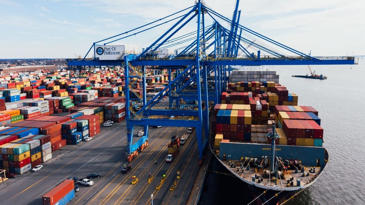 Container vessel and port cranes in the Zenith Eclipse ocean freight illustration.