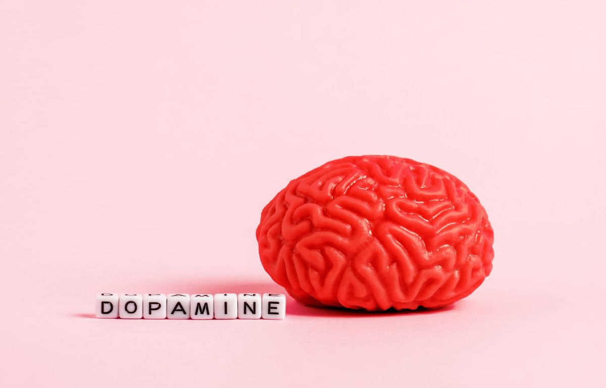 The Dark Side of Dopamine: Why Nothing Feels Rewarding Anymore
