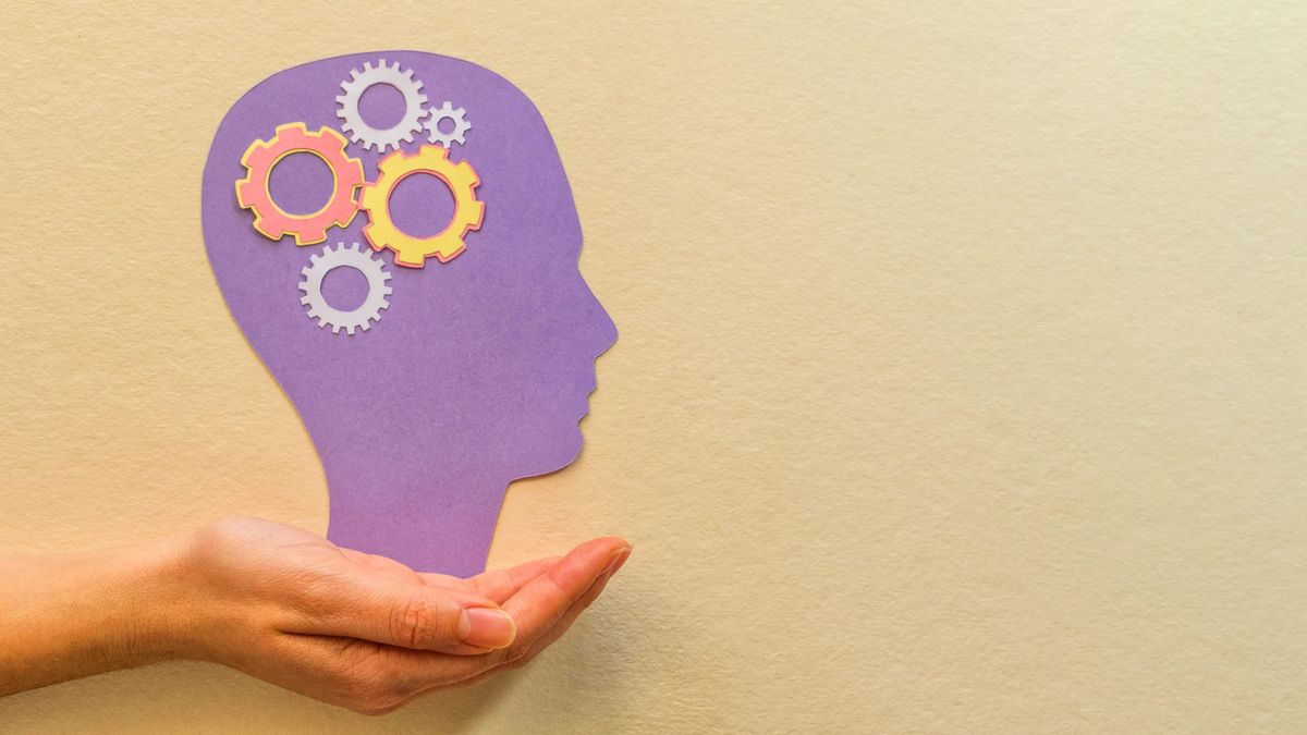 The Nootropic Landscape: A Cautious Guide to the Caffeine/L-Theanine Stack